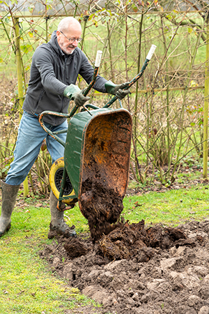 Man stort compost uit kruiwagen op moestuin